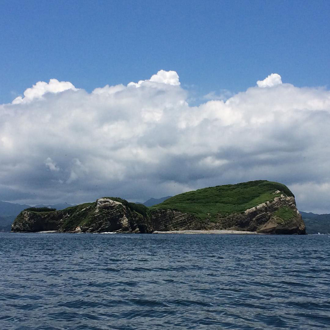 A small island in the middle of a body of water.